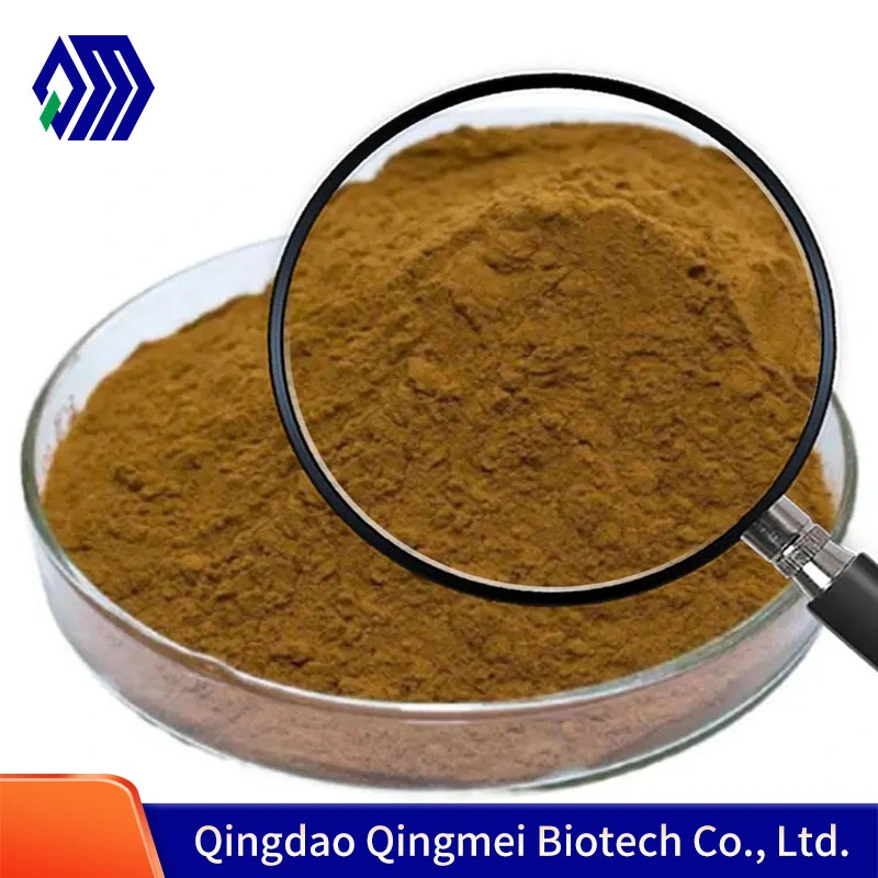 Factory Supply Sparassis Crispa Extract Powder Polysaccharides10%-50%