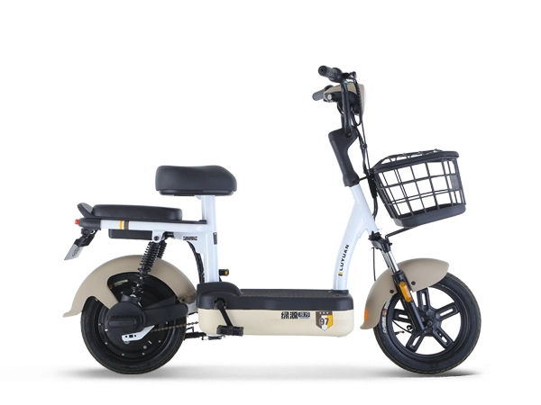 Electric Scooter Bicycle Low Price Lead Acid