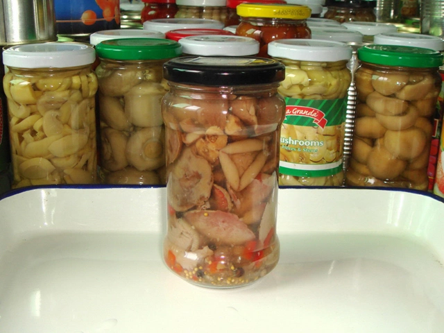 Canned Suillus Mushroom Selling for Catering and Supermarket