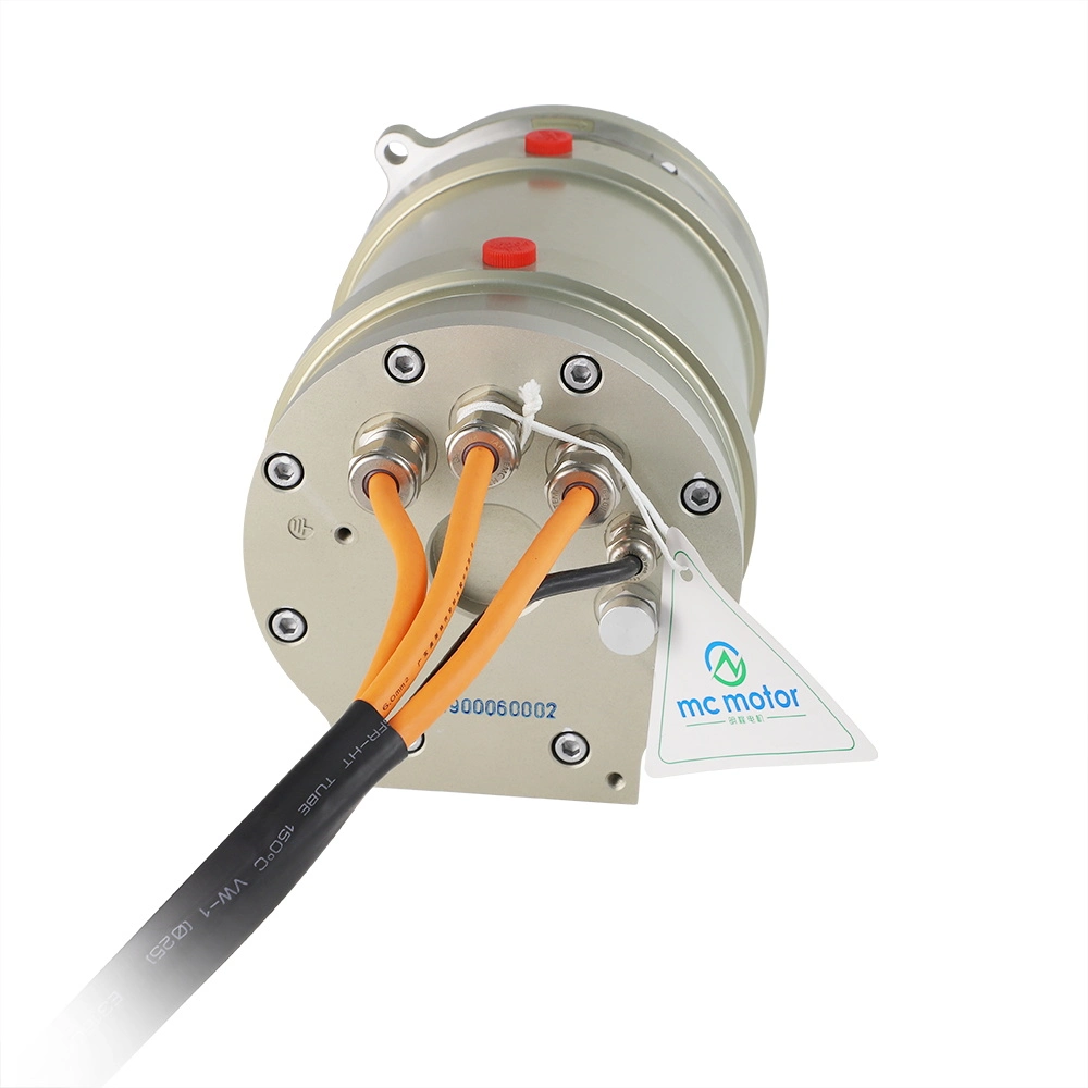 Kundenspezifische Produkte High Speed AC Permanent Magnetic Electric Motor