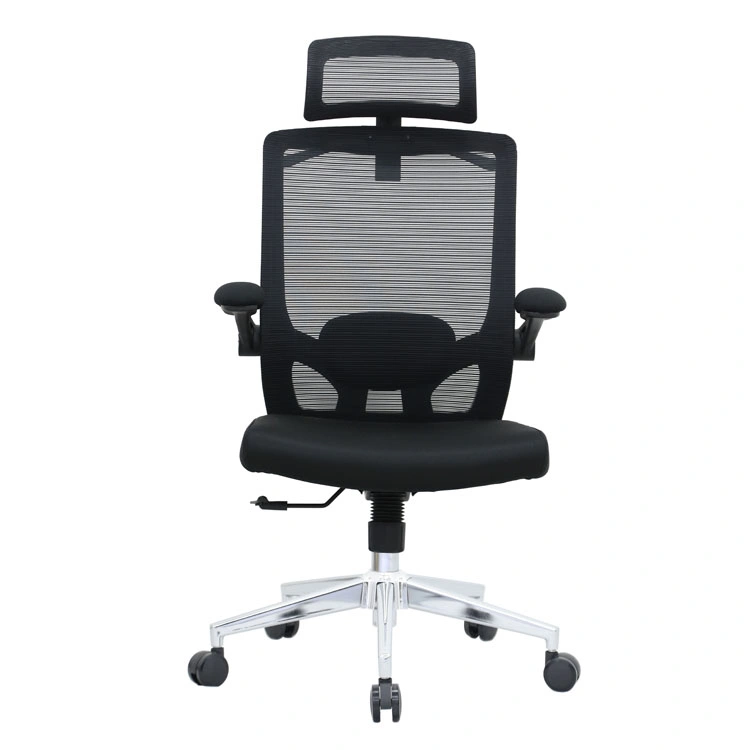 Popular Cheap Mesh Healthy Office Chair Ergonomic Furniture China