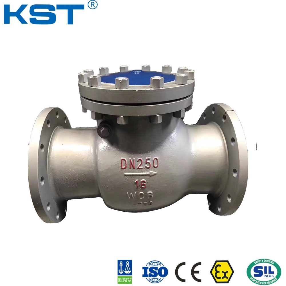 Wcb Check Valve