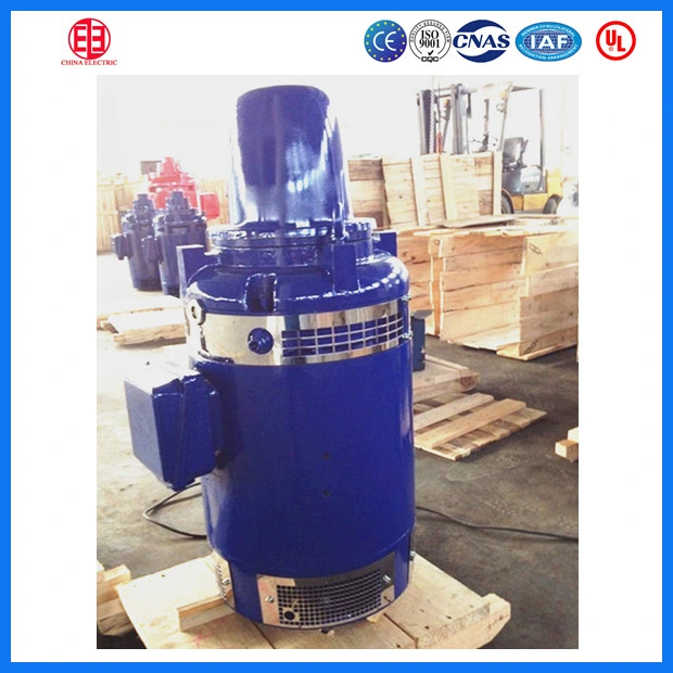 IEC Standard Deep Well Vertical Hollow Shaft Vhs Pump Motor