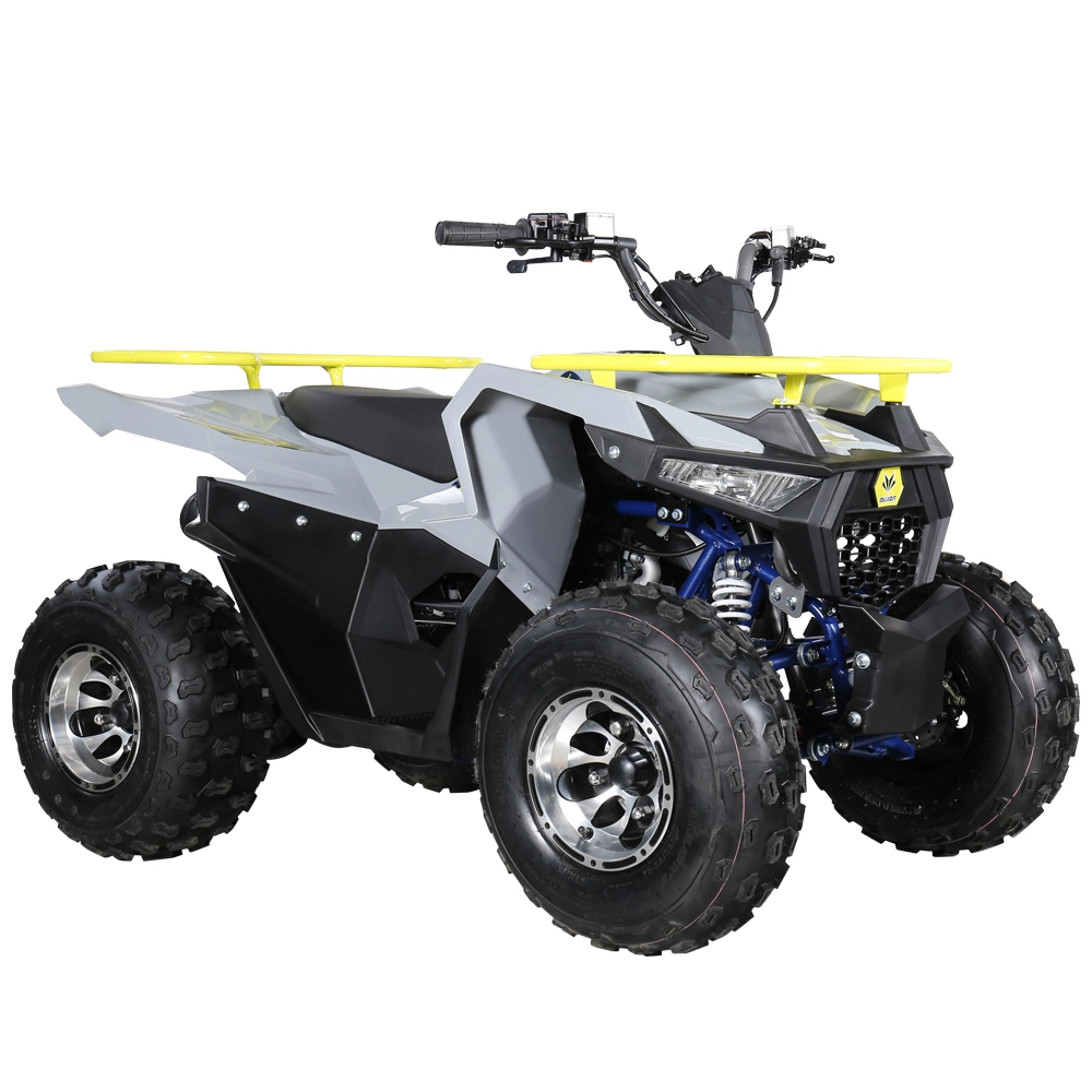 Utility ATV 125cc Mini Quad Bike