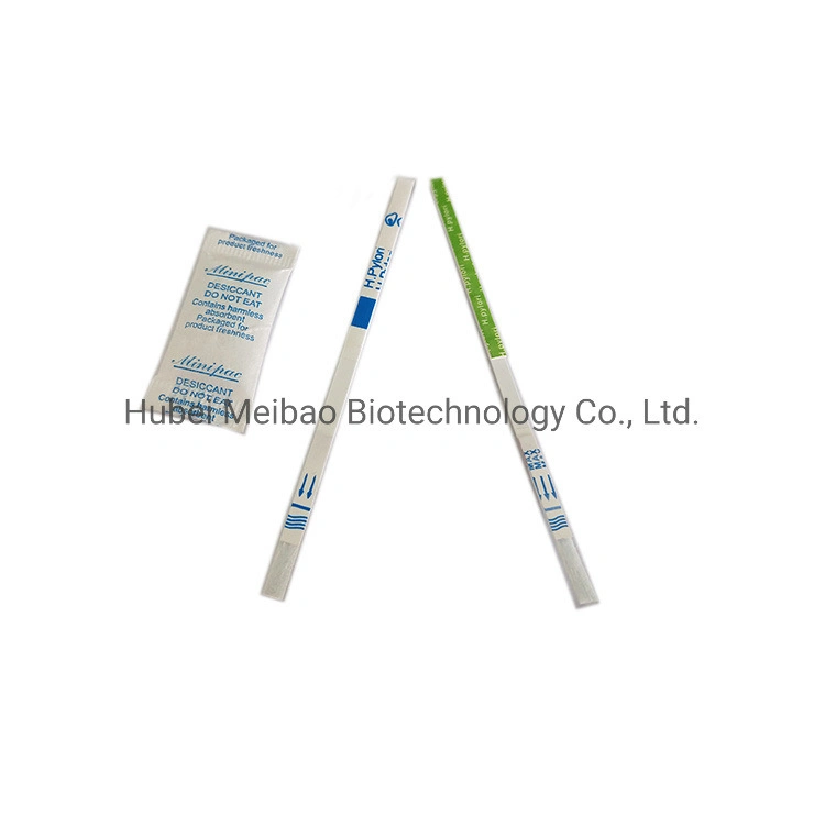 Helicobacter Pylori Poct Detection Medical and Housing Test Devcie