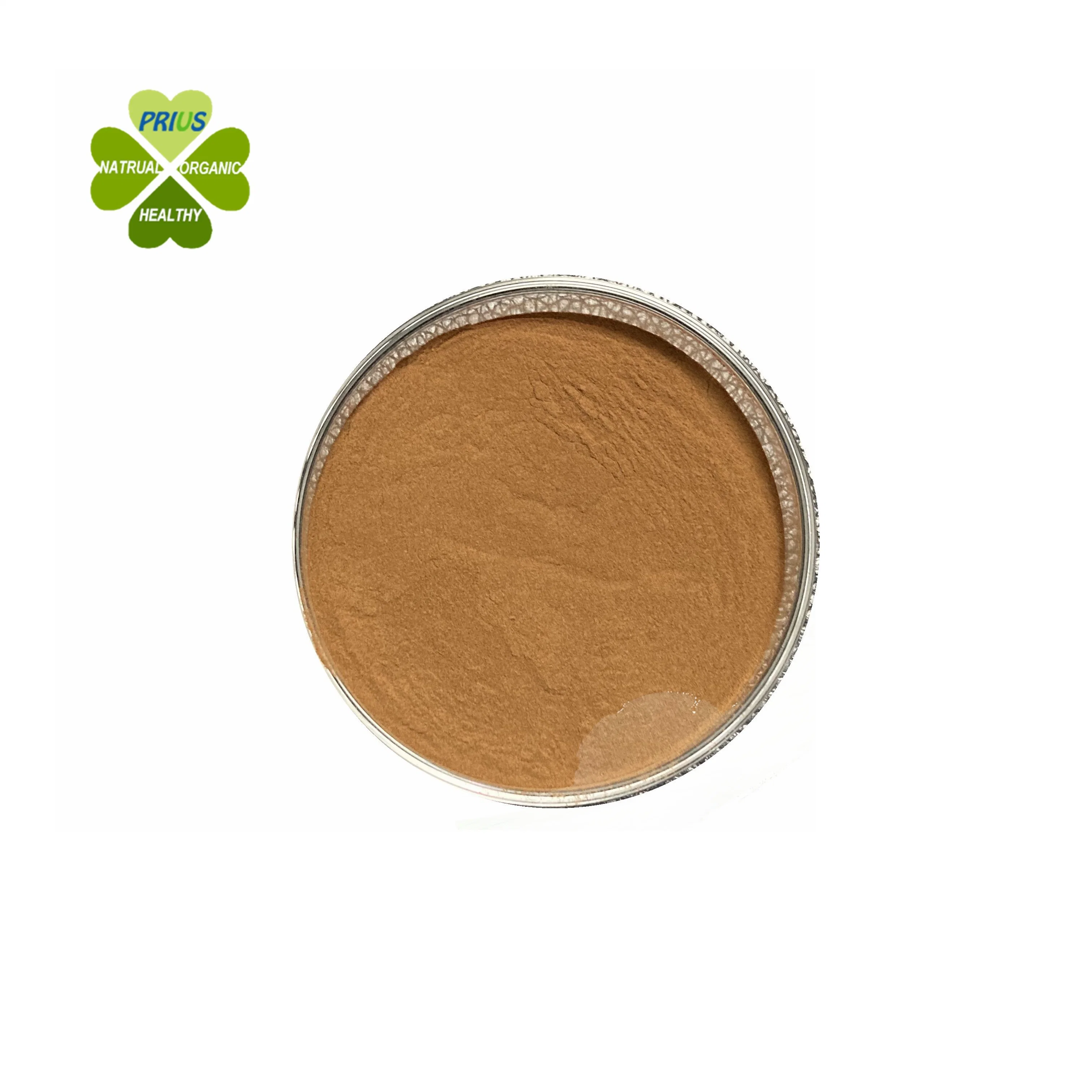 Natural Ganoderma Lucidum Extract Powder Ganoderma Lucidum Polysaccharide 30% UV