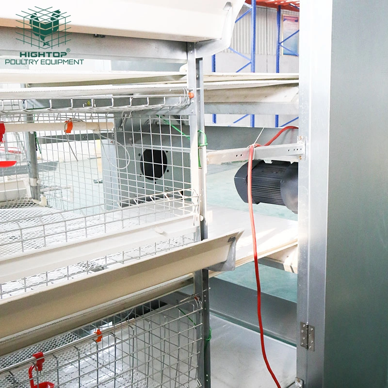 Poulet matériel avicole 3 Tier cage de batterie de gril automatique