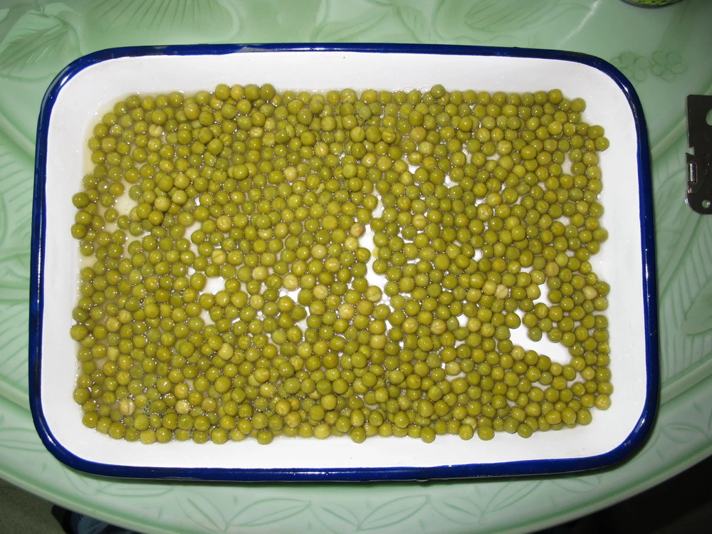 Canned Green Peas Factory Canned Food