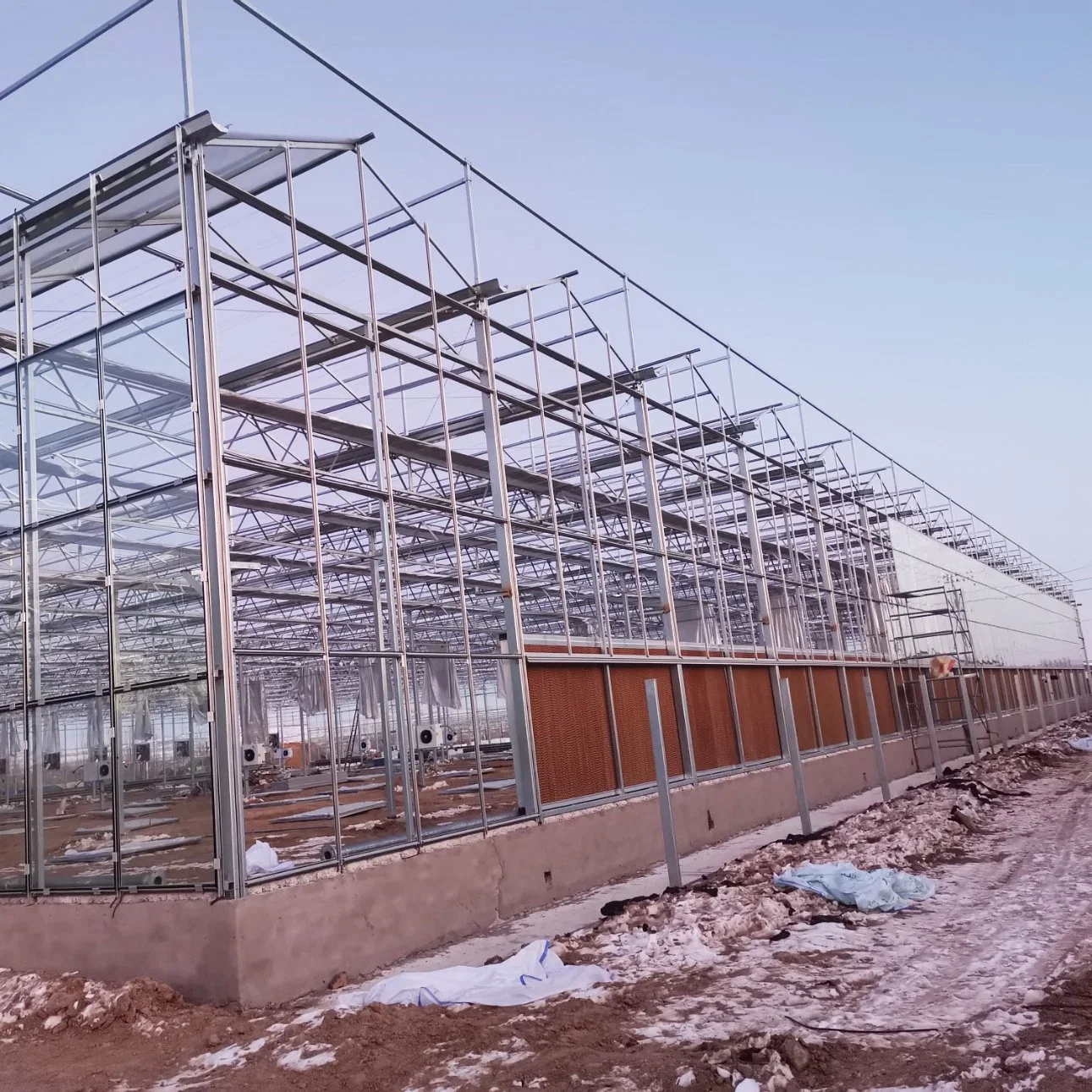 2023 Great Performance Agricultural Glass Greenhouse for Hydroponics Vegetables