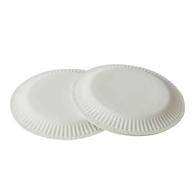 Custom Biodegradable Disposable Party White Paper Plates