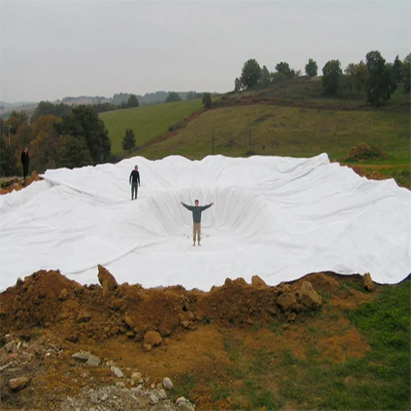 Matériaux de construction Geosynthetics PET PP polypropylène polyester