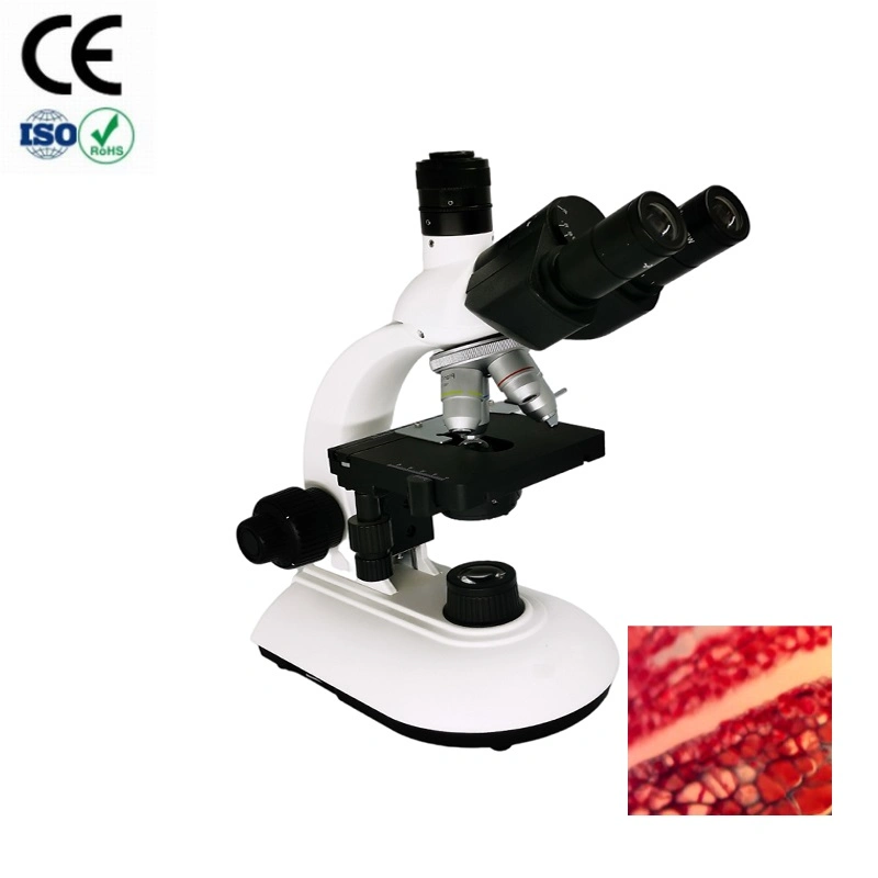 Los buenos precios Laboratorio Médico Trinocular Olympus microscopio binocular biológico