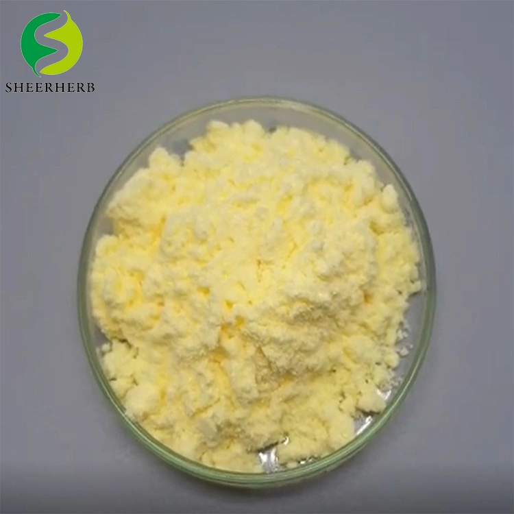 Manufacturer Supply Antioxidant Thioctic Acid Alpha Lipoic Powder OEM