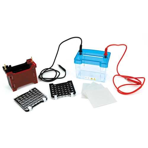 Mini Protein Electrophoresis Tank