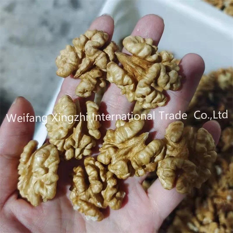 Yunnan Walnut/Xinjiang 185 Walnut/ Xin 2 Walnut Halves