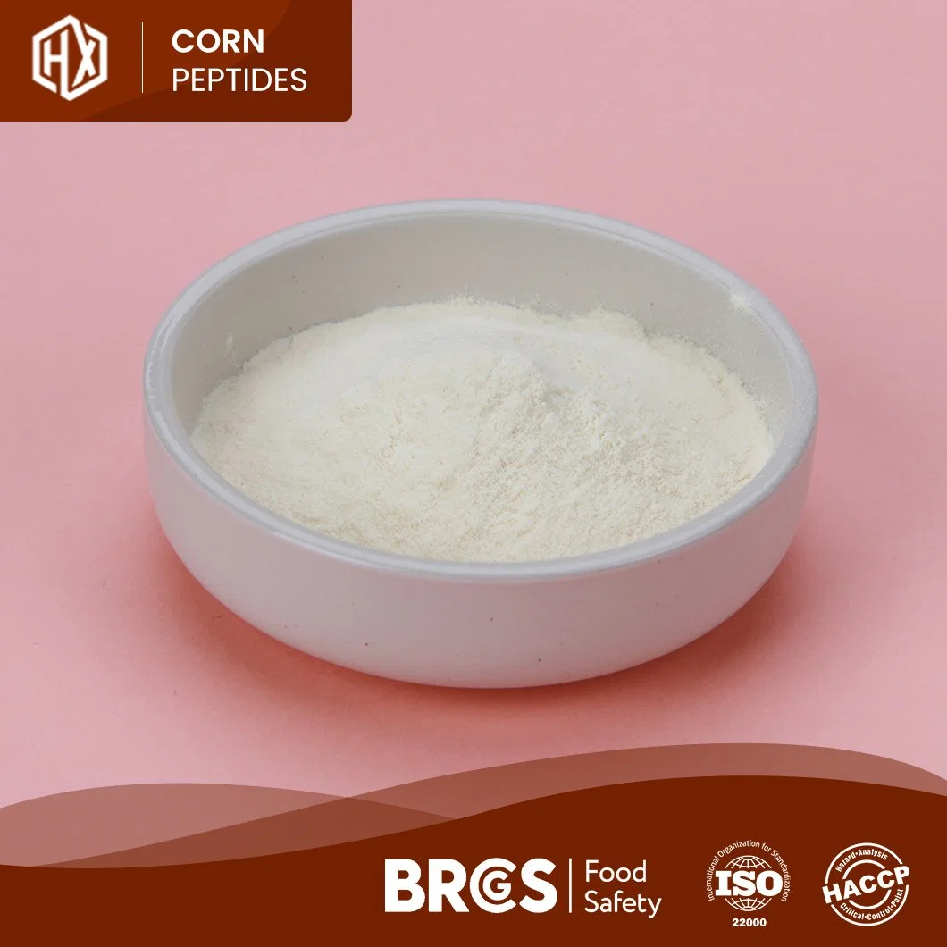 Haoxiang China Food Grade Cornbean Powder Supplement Cheap Price 100% Pure Cornbean Peptides Hydrolyzed Corn Peptide Cusom Food Grade Corn Peptide Powder