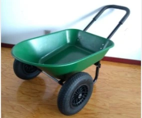 Herramientas de jardinería Wheelbarrow con bandeja de PP y dos ruedas de caucho Wb3020p (5405)