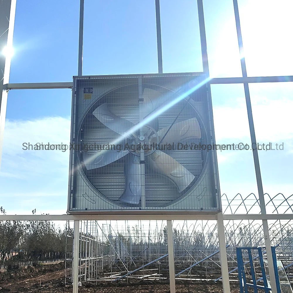 Customization 1380mm Wall Mounted Ventilation Exhaust Fan Swung Drop Hammer Exhaust Fan