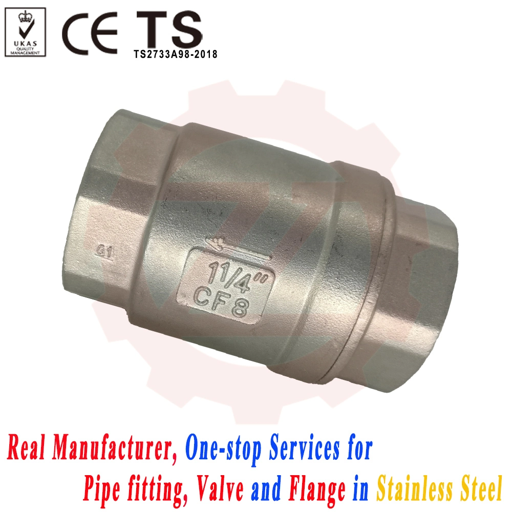 DN65 Stainless Steel Thread Lift Check Valve for Sump Pump