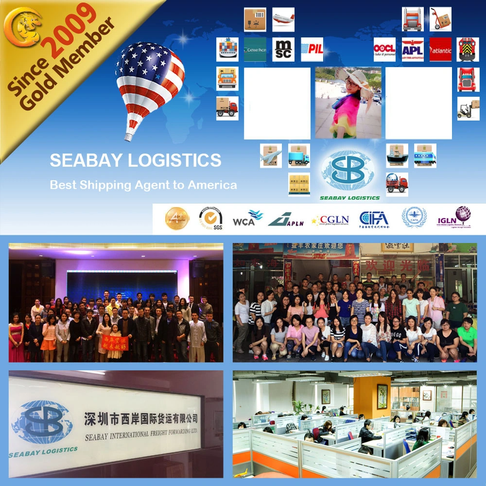 China Professional Ocean Shipping Forwarder Service to Los Angeles Fba Amazon Warehouse