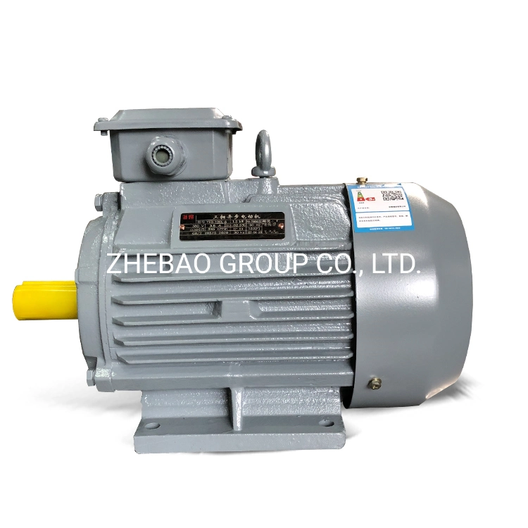 Ie3 High Efficiency Cast Iron Three Phase Induction AC Electric Motor