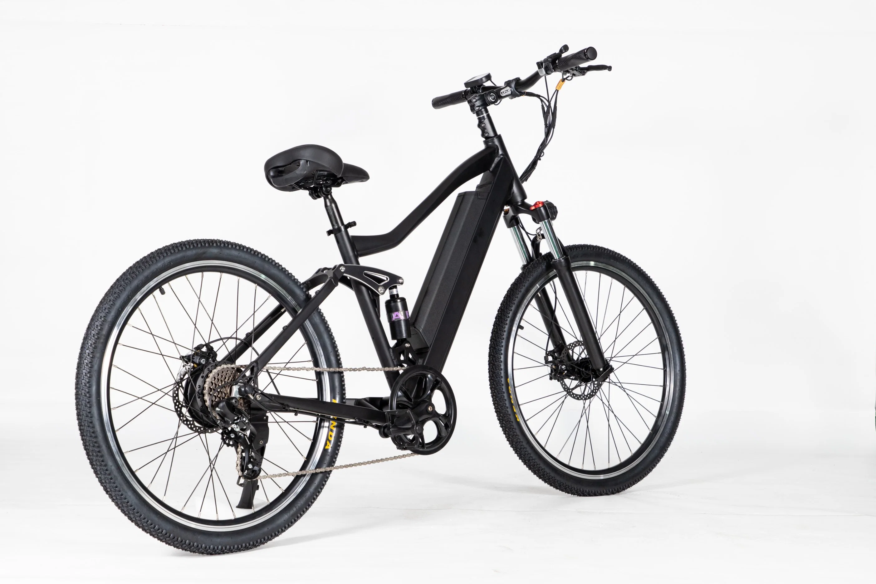 Adult Aluminum Alloy Fast Electric Bike Can Be Customized in Color