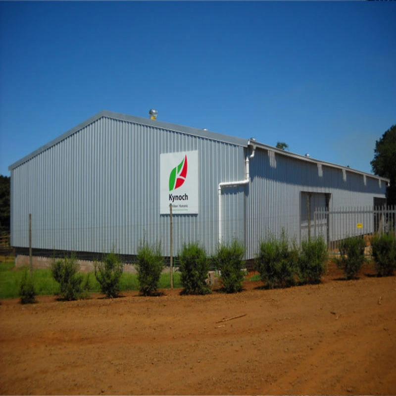 Modern Styles Steel Structure Factory Workshop Stockroom Shed