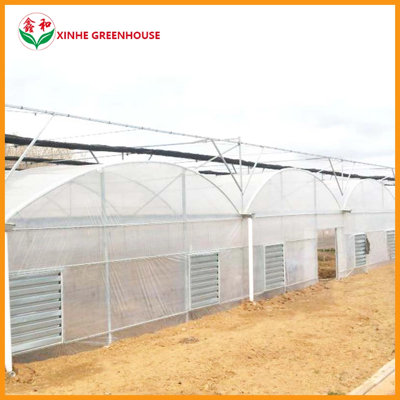 Multi-Span PE Film plástico Agricultural Greenhouse para la Agricultura