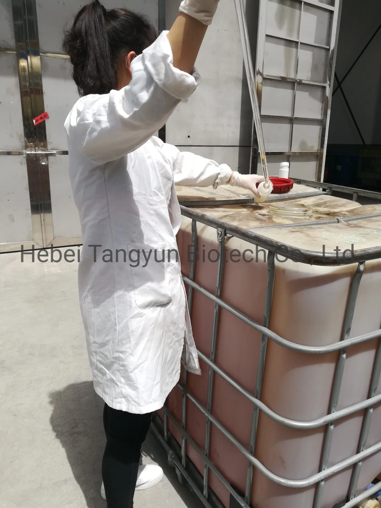 Insecticide avec prix d'usine diméthoate 40% EC Tangyun