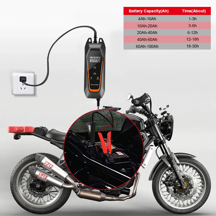 Edsun Plug-in Pulse Repair Standard Batterie 12V 6V Cable Car Akkuladegerät