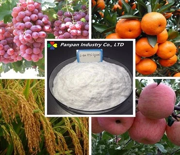 Agriculture Products 99%Tc Pgr Plant Growth Regulator 6-Benzylaminopurine 6-Bap 1214-39-7 6-Ba