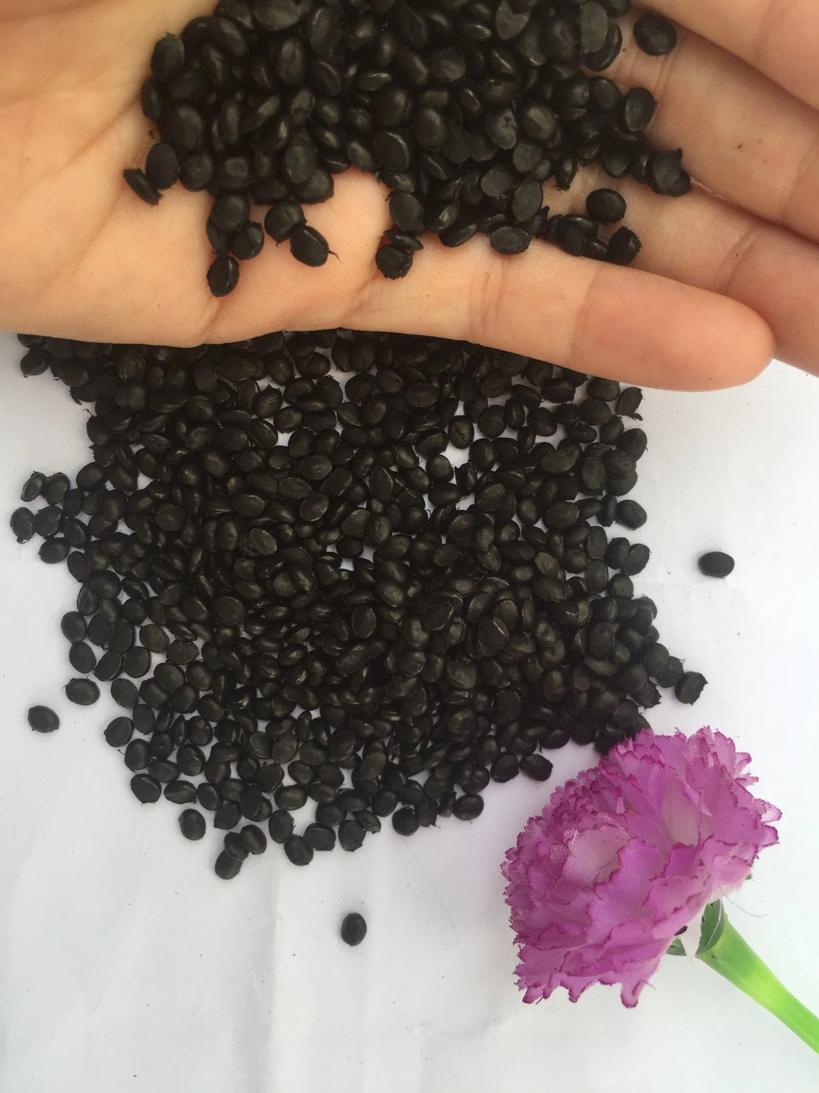 Black Color Plastic Resin Use for Plastic Injection