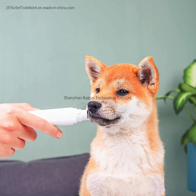 Affûteur d'ongles pour chiens et chatons pour aiguiser les griffes, couper les ongles et polir les griffes.