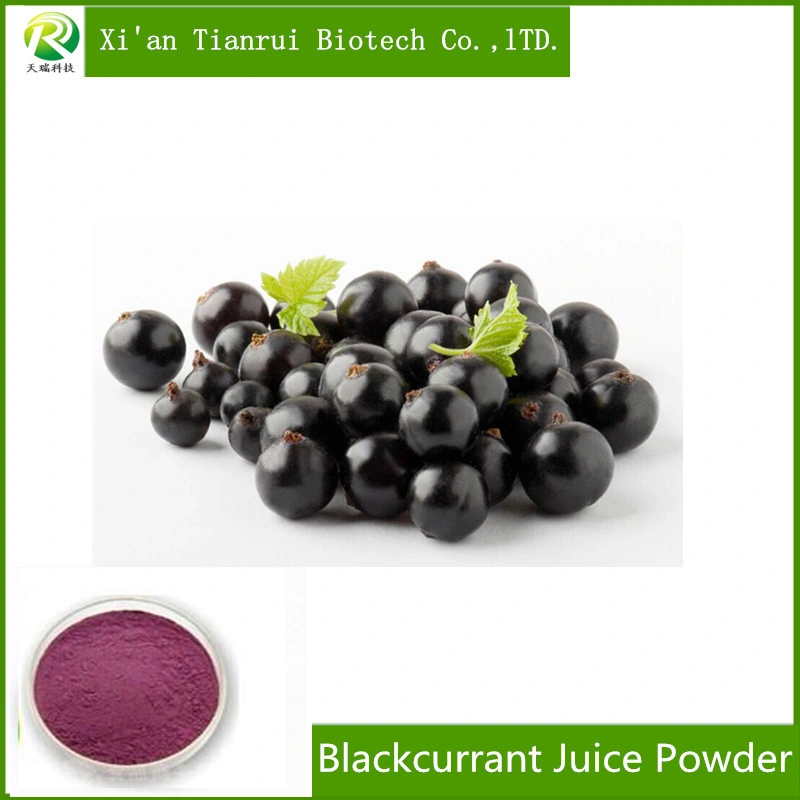 Factory Supply 100% Pure Natural Blackcurrant Juice Extract Powder