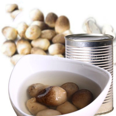 Canned Peeled Straw Mushroom Whole in Brine