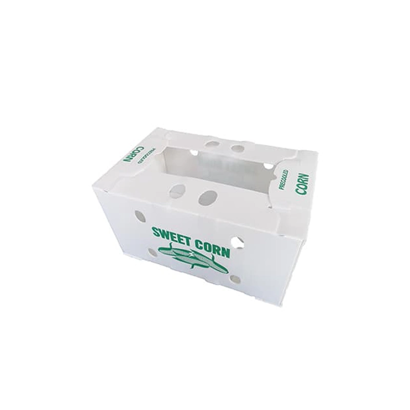 Coroplast Box Plastic Corrugated Boxes Plastic Box Plastic Seafood Packaging Box