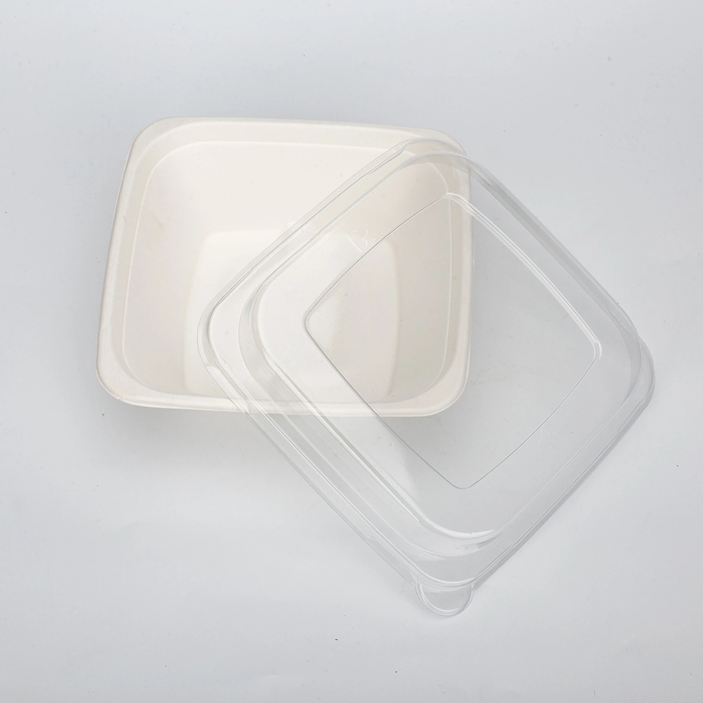 Biodegradable Disposable Take-out Spring Picnic Light Food to-Go Box Tableware Lunch Box Plate Compostable Plates and Cutlery