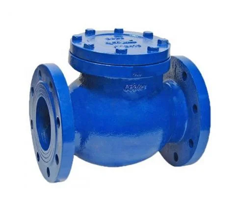 1 Inch Swing Check Valve with Cast Iron Carbon Steel Stainless Steel as Customized