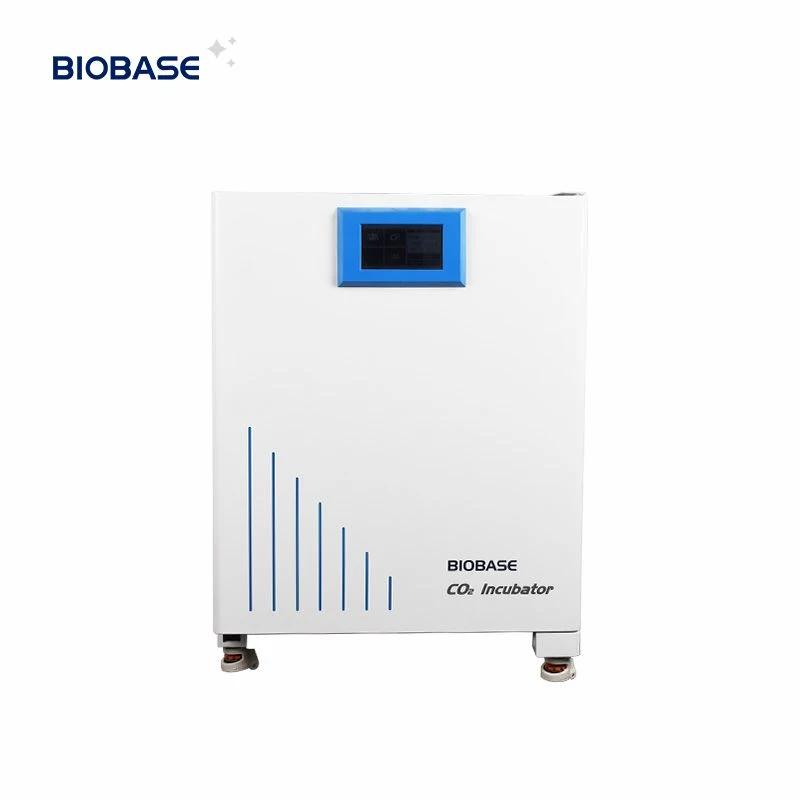 Biobase CO2 Incubator 50L 80L Air Jacketed CO2 Laboratory Incubator Liter for Ivf