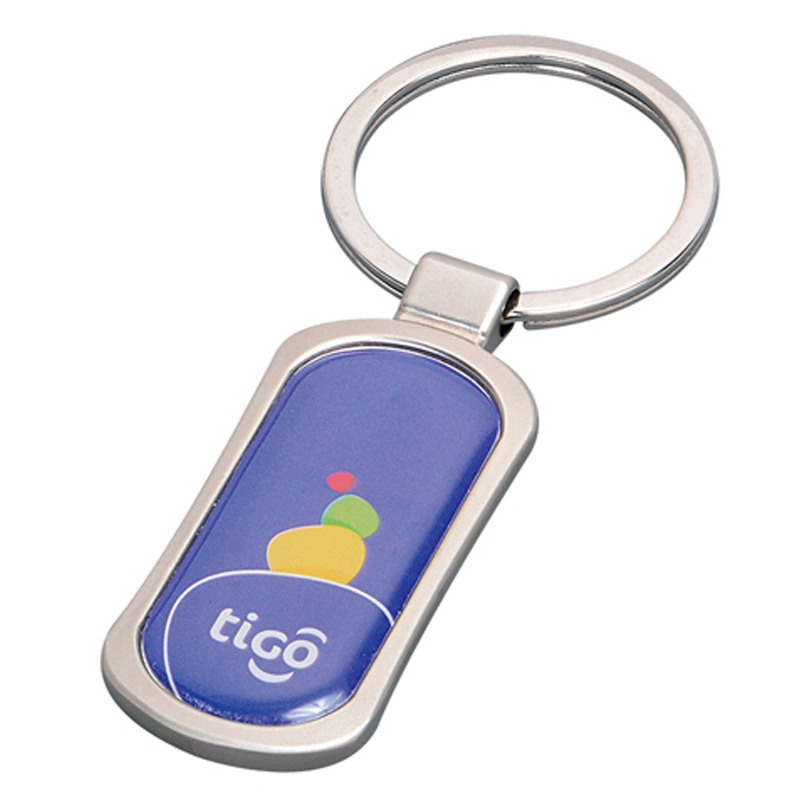 Custom Zinc Alloy Keychain with Epoxy Label (Ele-K030)