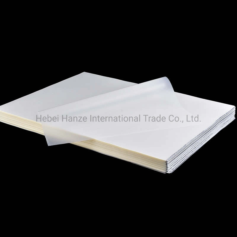 Good Price Waterproof Flexible Double Side A3 A4 Sheets Heat Transfer Universal Dtf Pet Film for Garment Textile T Shirt Printer