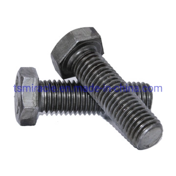 Electro Galvanized Hot DIP Galvanized Black Bolts and Nuts Carbon Steel and Stainless Steel Material Grade 8.8 Fastener