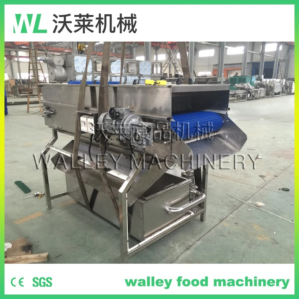 Continuous Onion Cleaner High Pressure Cleaning Machine