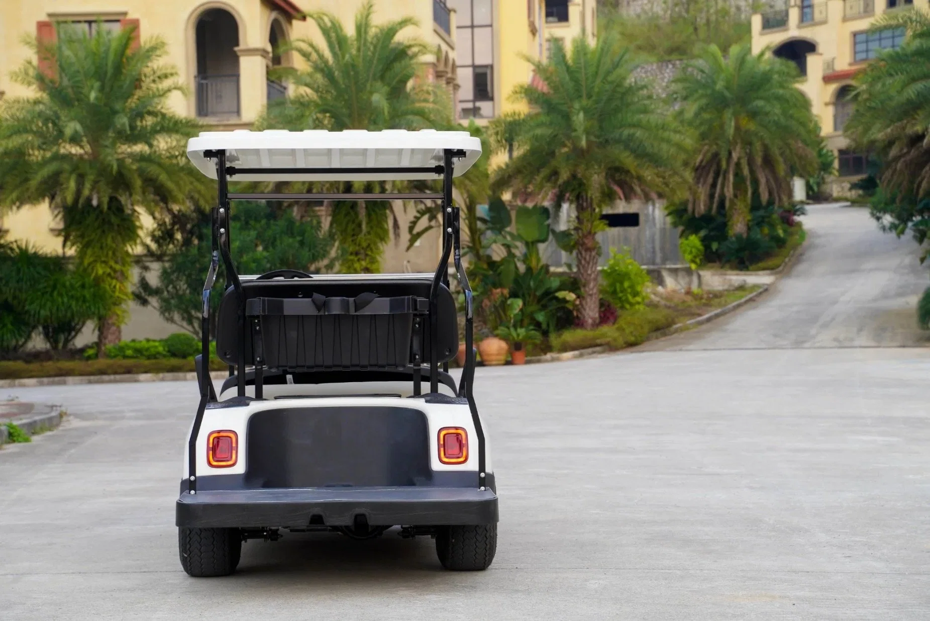 China Supplier Golf Cart Custom 2 4 6 Seater Golf Car Utility Vehicles