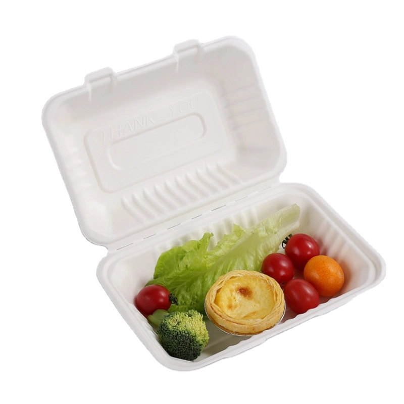 Takeaway Fast Food 9X6 Compostable Paper Pulp Sugarcane Bagasse and Paper Clamshell Envases Contenedores De Comida Biodegradable Food Container