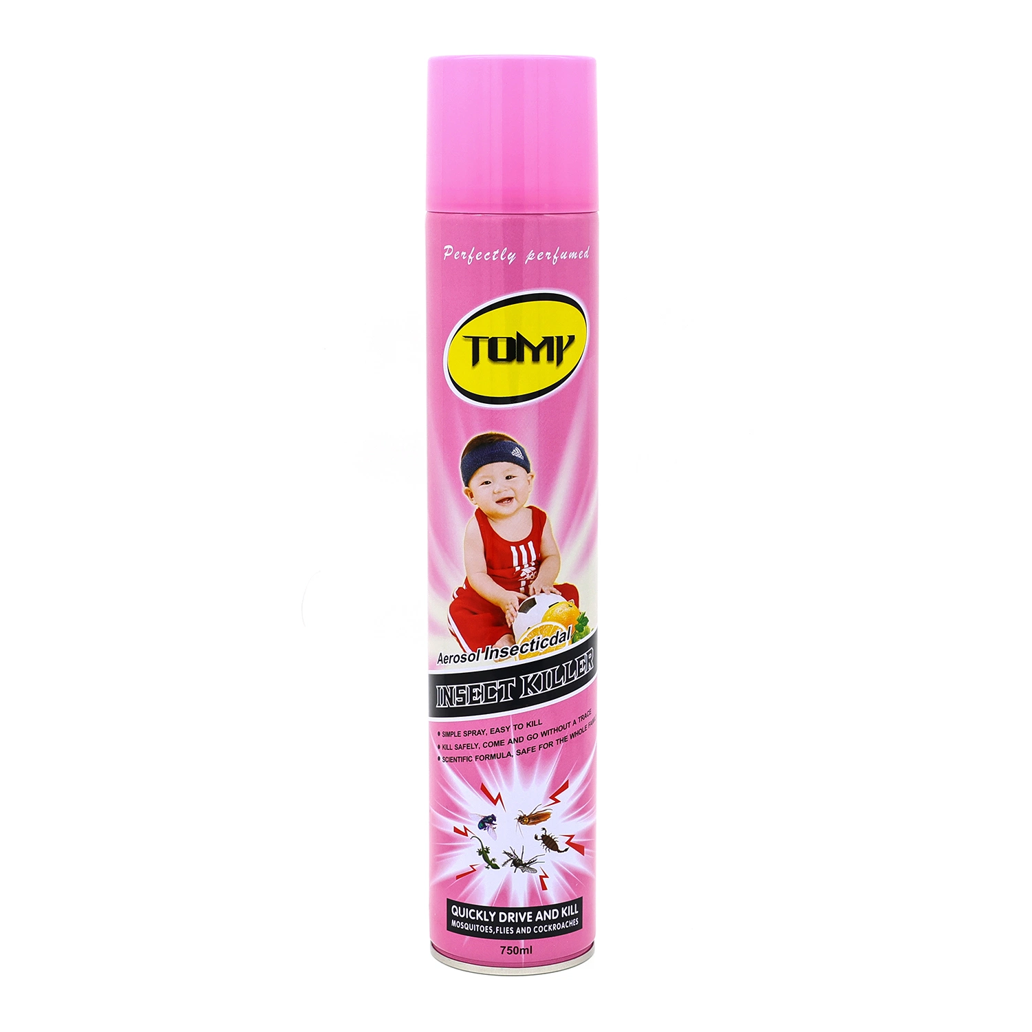 Mortein insecte tueur insectifuge de pulvérisation SPRAY Fly Killer