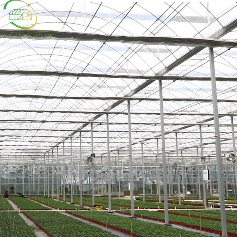 Low Cost Arch Multi Span Poly Film Greenhouse with Ventilation System for Vegetable Farming