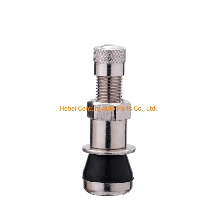 Car Accessory Brass Material Tr416ss Tubeless Tire Valve/Tyre Valve