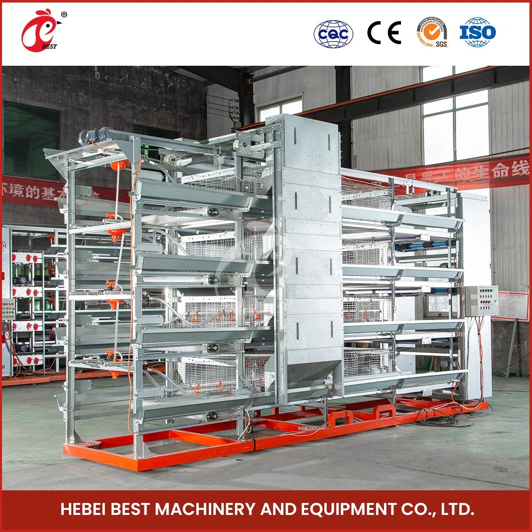 Bestchickencage H Frame Broiler Cages China Small Chicken Coop Manufacturing Light Steel Material Design Broiler Cages