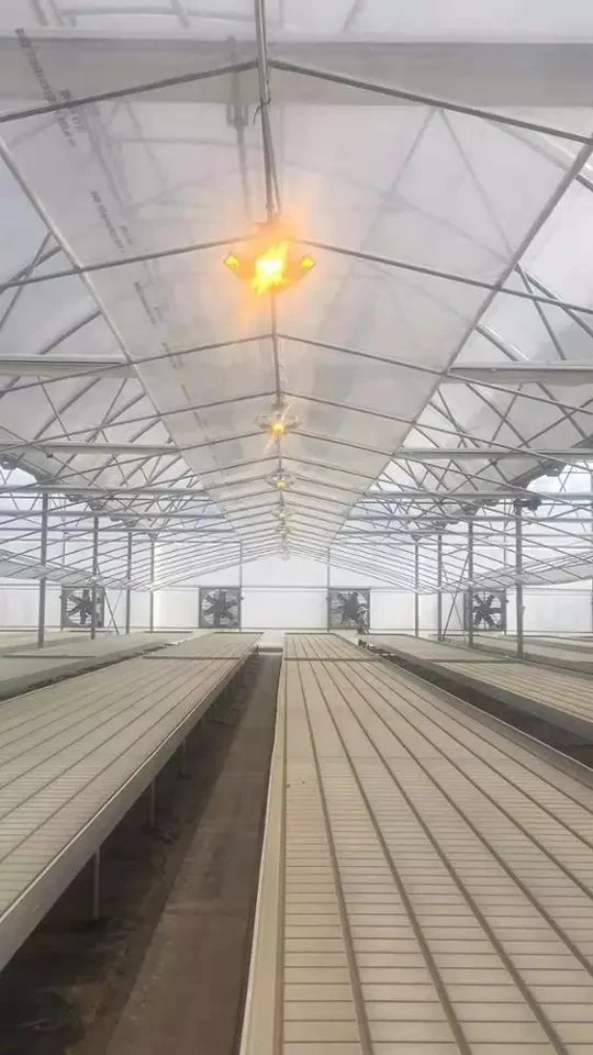 Flower/Green Plant Hot-Dipped Galvanized Iron Wire Green House Farm Facilities Equipment Hydroponics Rolling Bences